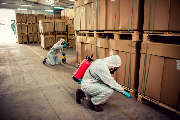 Best Wasp Removal Services  in Homer Glen, IL