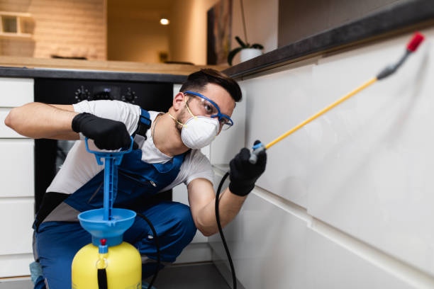 Best Bed Bug Extermination  in Homer Glen, IL