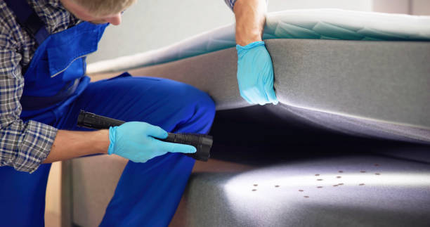 Best Pest Control Near Me  in Homer Glen, IL