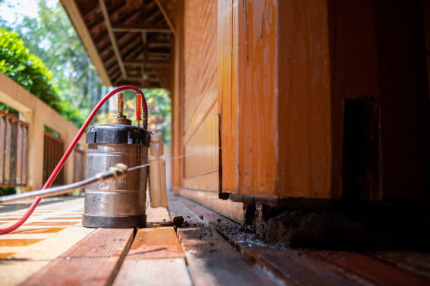Best Mosquito Control Services  in Homer Glen, IL