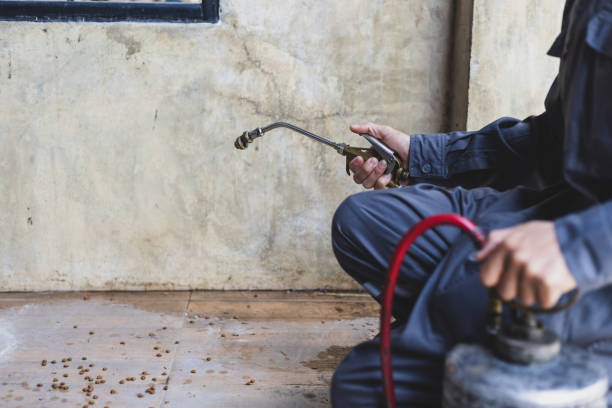 Best Affordable Pest Control Services  in Homer Glen, IL