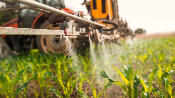 Pest Prevention Services in Homer Glen, IL