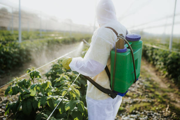 Insect Control in Homer Glen, IL